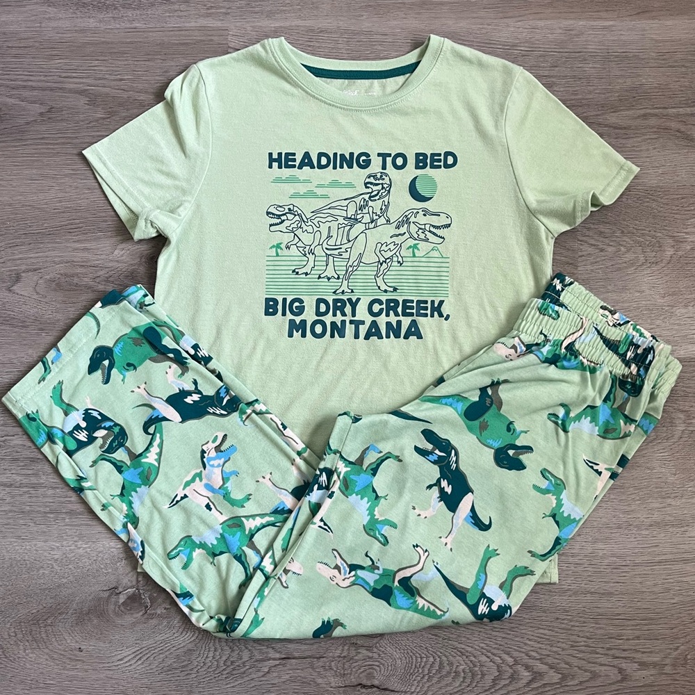 Cat & jack boys 2 piece dinosaur pajama set size 10/12